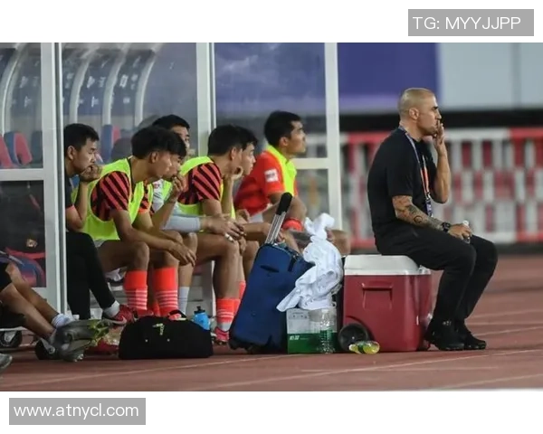 南京排球队意识争议引发热议球迷与专家各抒己见探讨背后真相